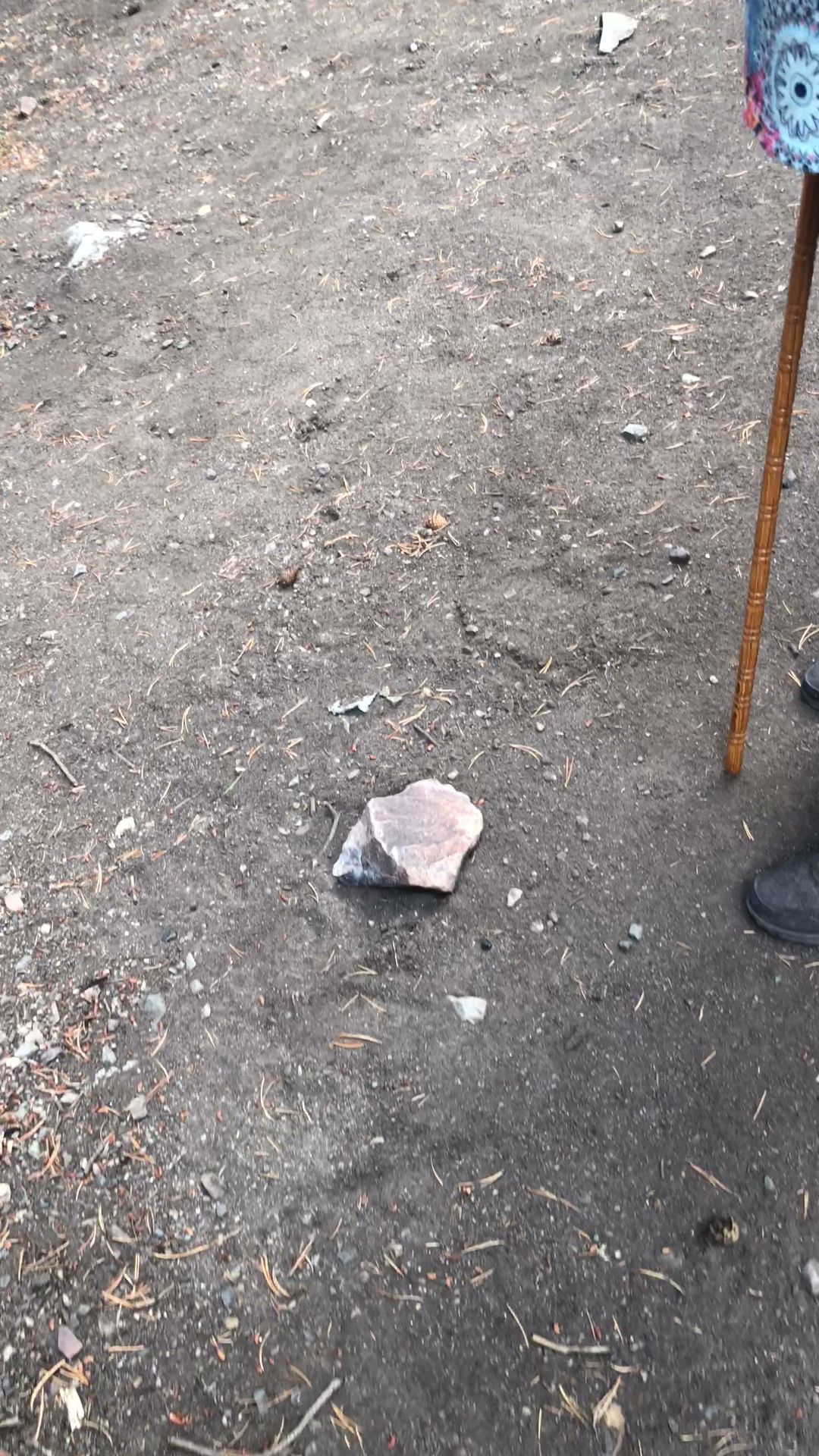 Upper Virginia Creek Primitive Campground