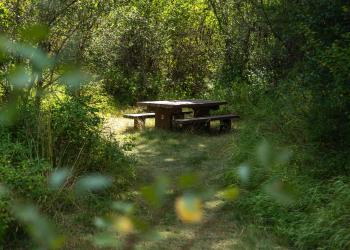 Trout Creek Campground