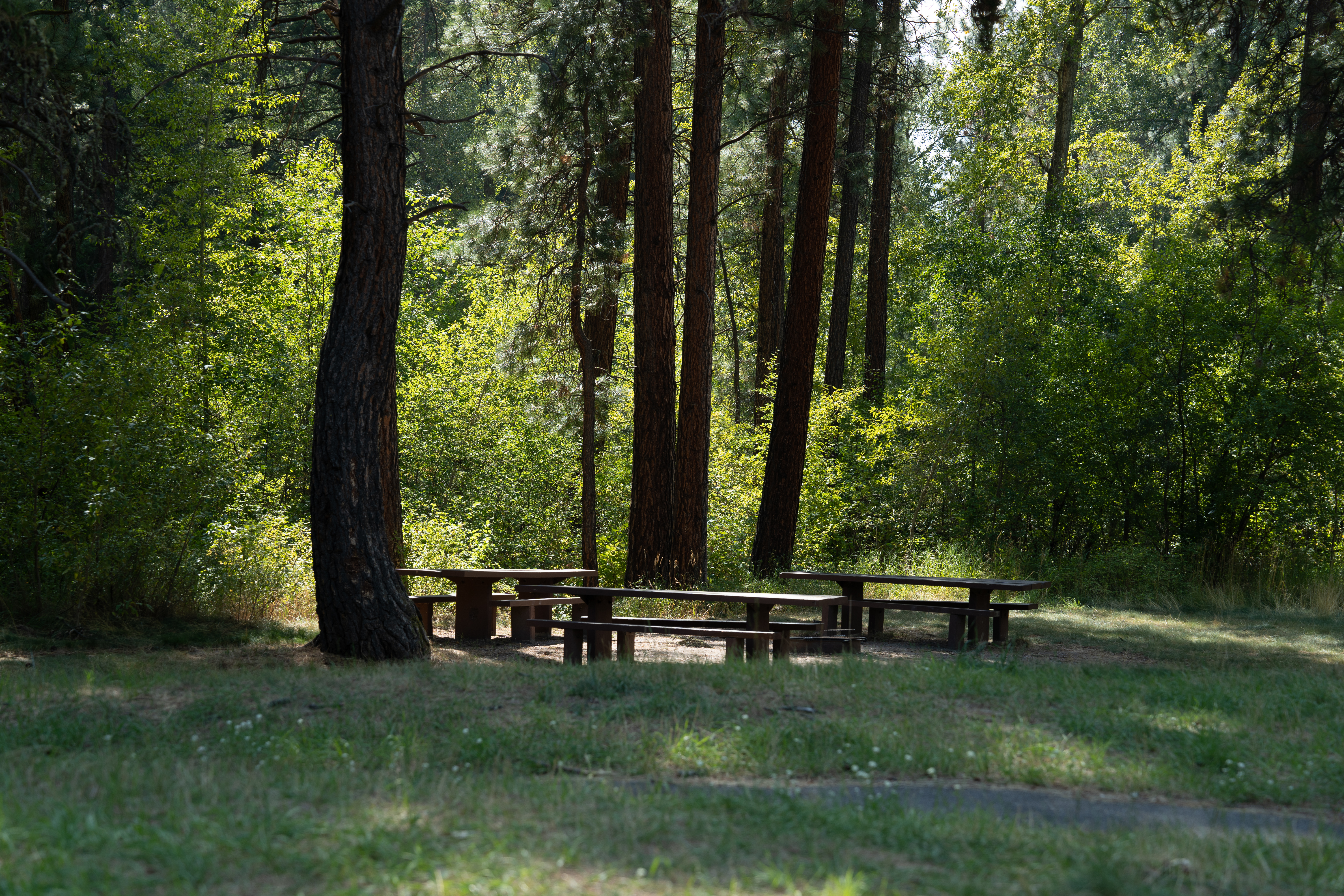 Trout Creek Campground