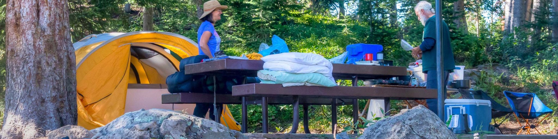 Needle Creek Reservoir Camping Area