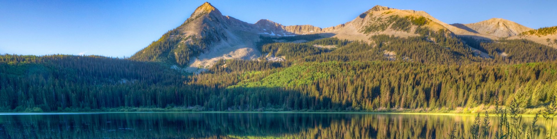 Needle Creek Reservoir Camping Area