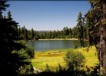 White Rock Campground