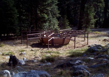 USDA Forest Service