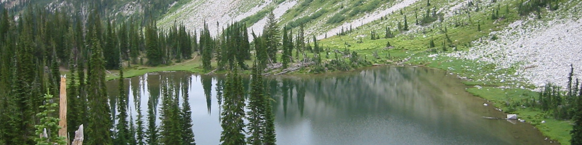 USDA Forest Service