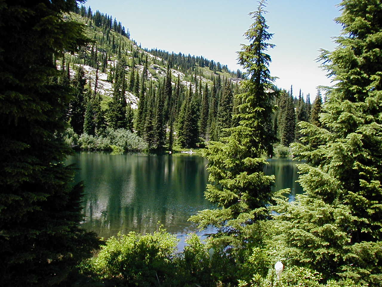 USDA Forest Service
