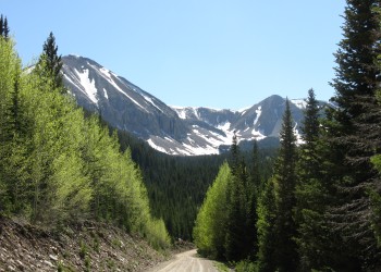 Upper Six Mile Ponds Campground