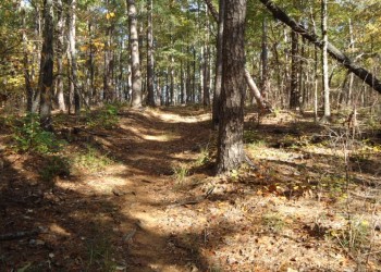 USDA Forest Service