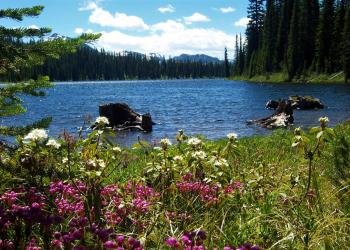 Bitterroot Flat Campground