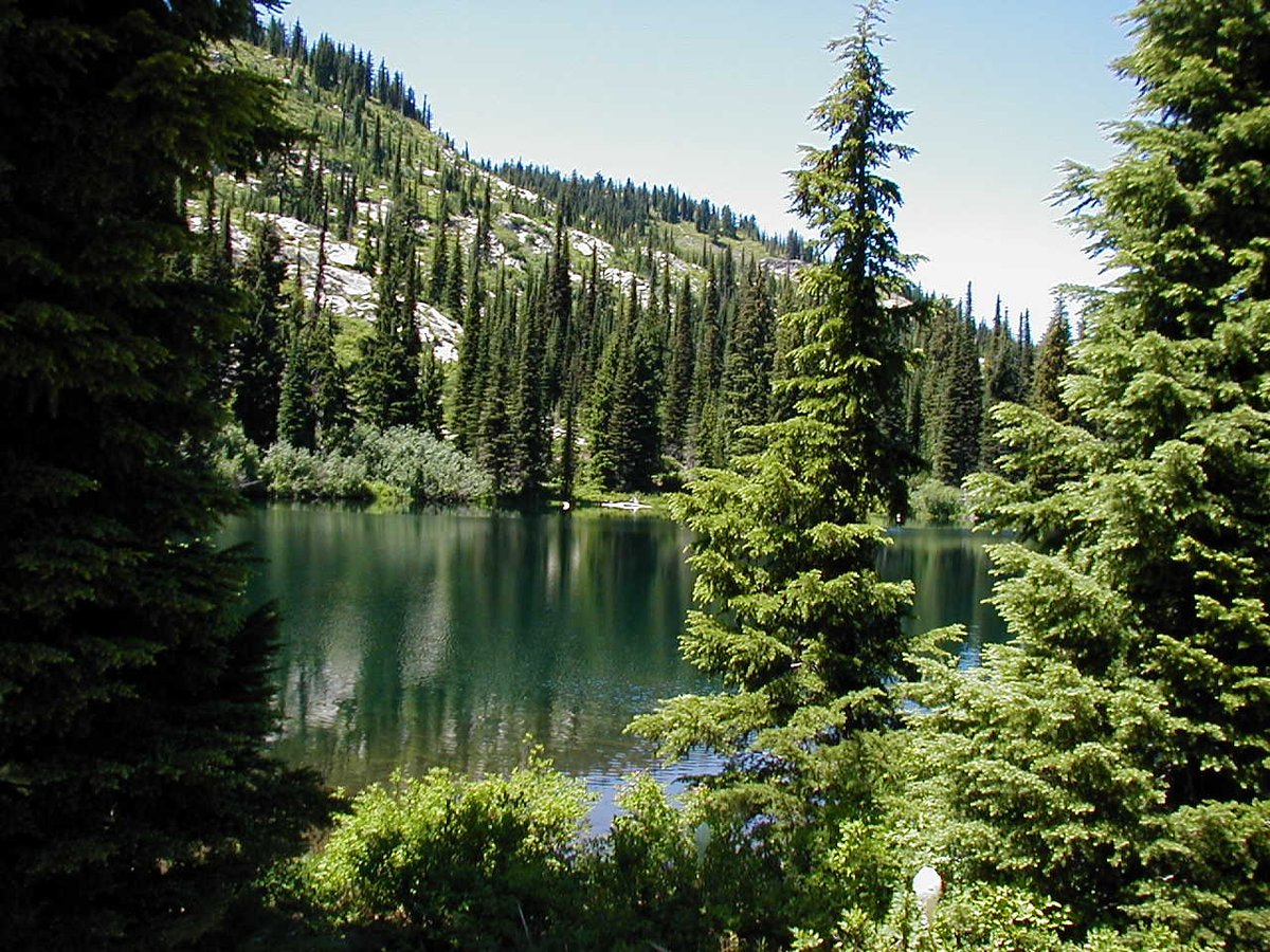 Bitterroot Flat Campground