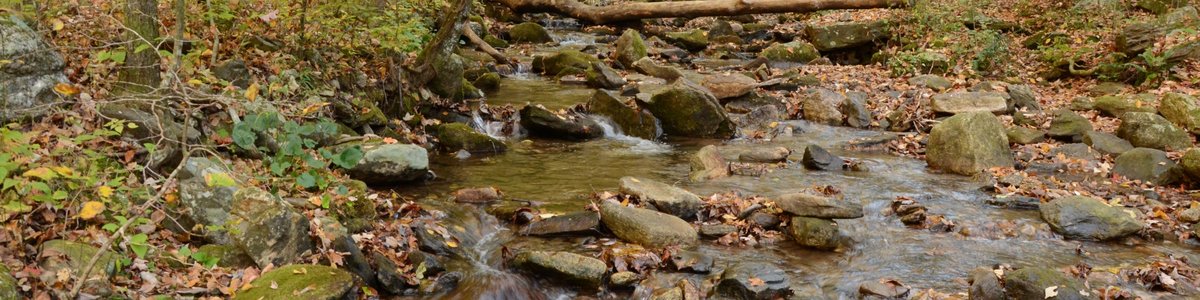 Oconee River Campground