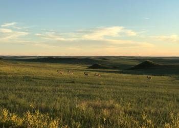 Red Cloud Campground