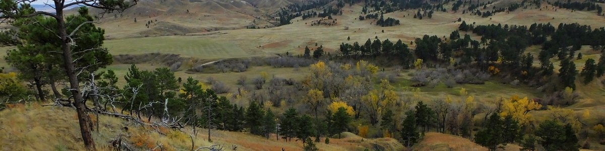 USDA Forest Service
