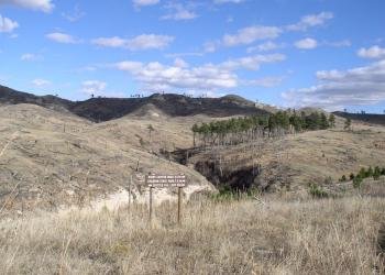 USDA Forest Service