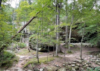 Pine Hills Campground