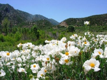 Marian Campground