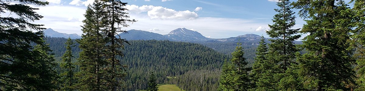 USDA Forest Service