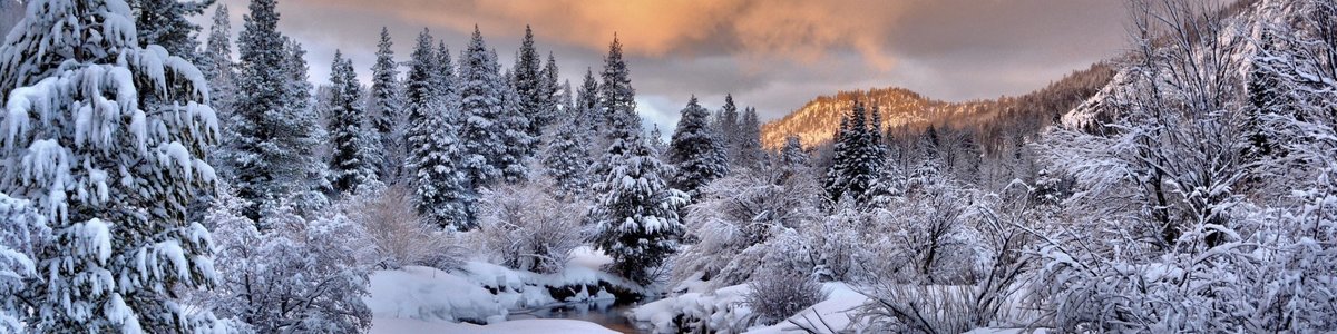 USDA Forest Service