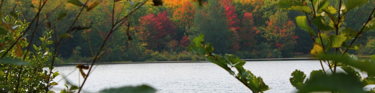 Imp Lake Campground