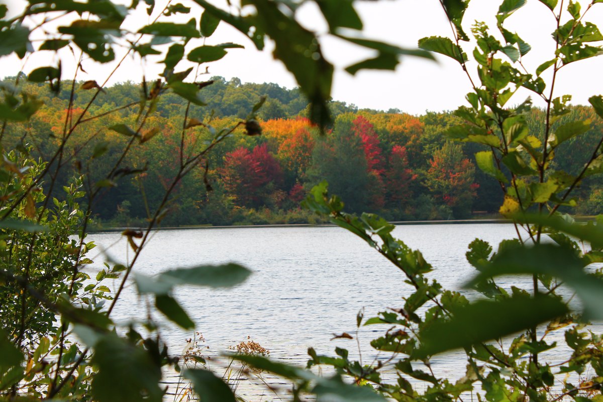 Imp Lake Campground