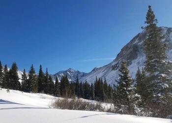 Cimarron Group Site