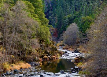 USDA Forest Service