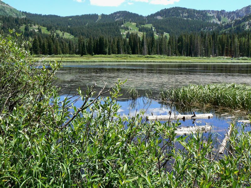 Kangaroo Lake Campground