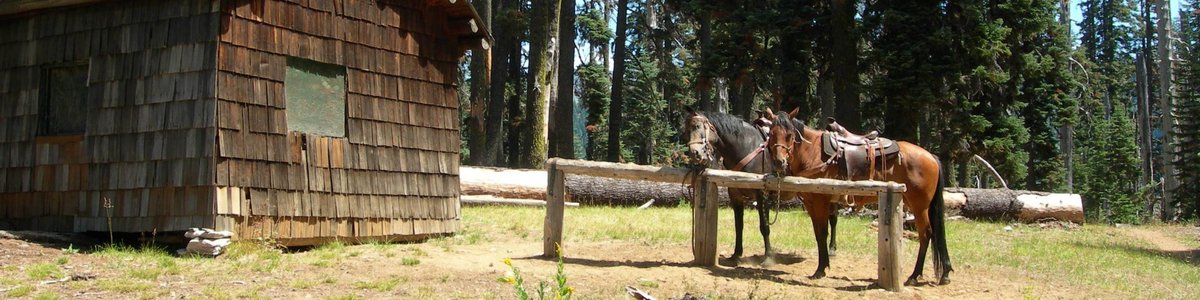 USDA Forest Service