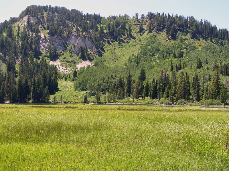Columbine Landing Recreation Site