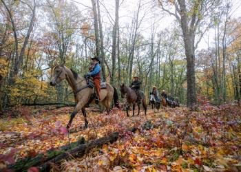 USDA Forest Service