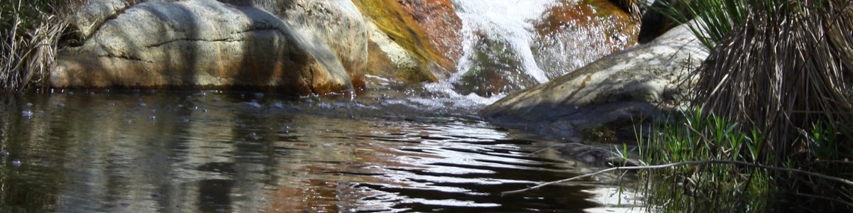 USDA Forest Service