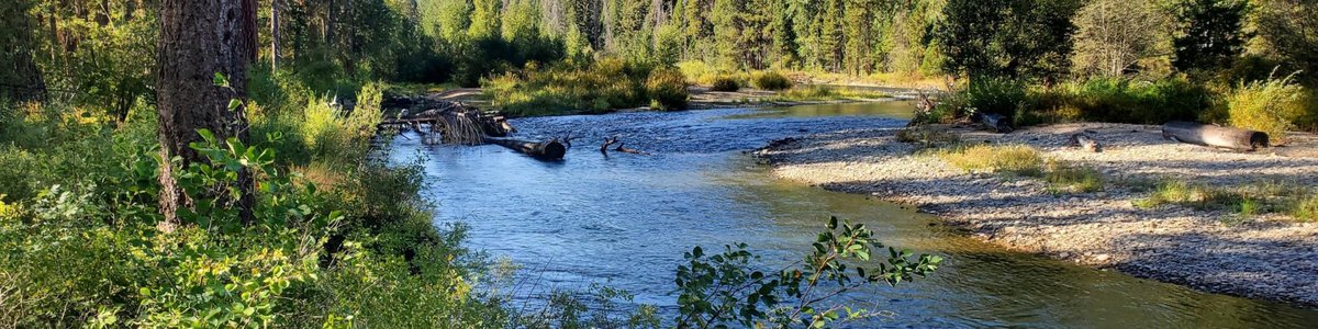 USDA Forest Service