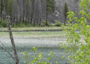 Trout Lake Campground