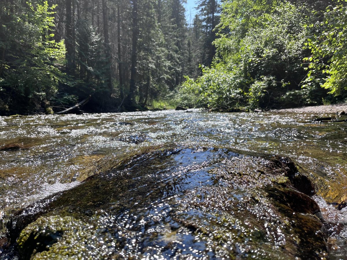 Trout Creek Campground