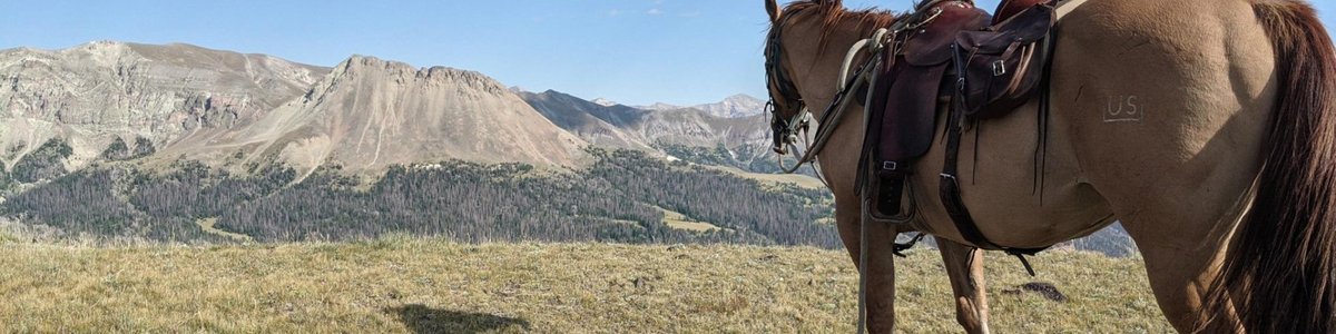 USDA Forest Service