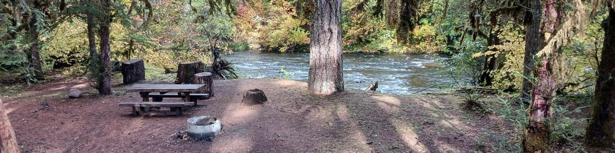 USDA Forest Service