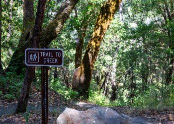 USDA Forest Service
