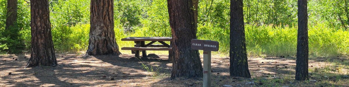 USDA Forest Service
