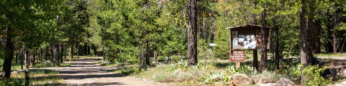 USDA Forest Service