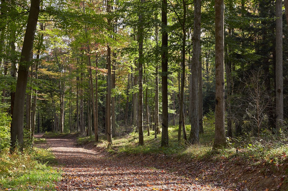 USDA Forest Service