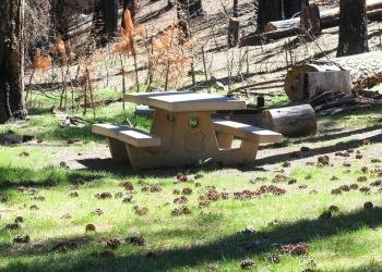 Cedar Camp Campground