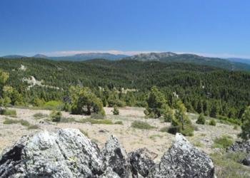 Middle Creek Campground