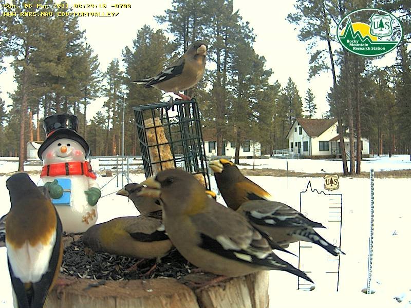Gallinas Campground - Upper