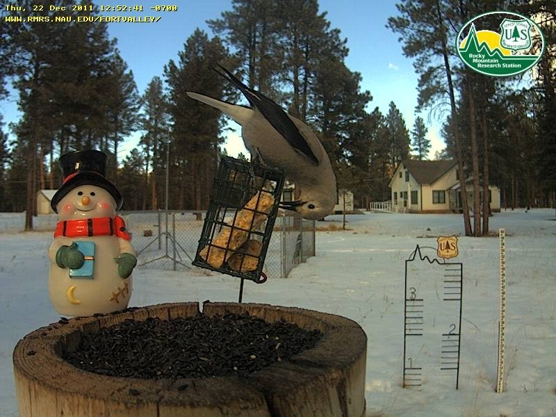 Beaver Creek Campground