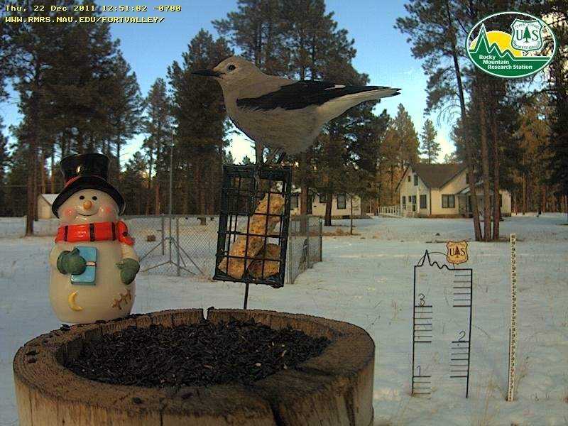 Appletree Group Campground