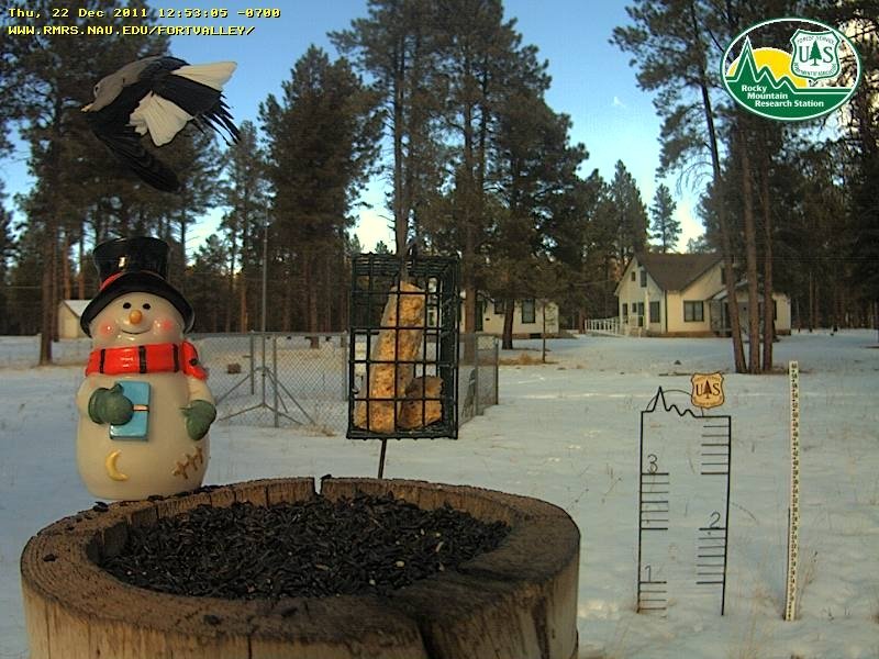 Red Canyon Campground