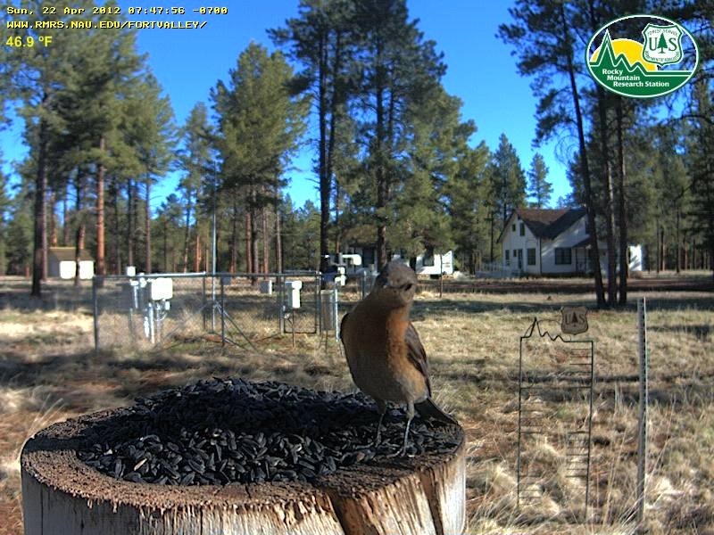 Emerald Creek Campground