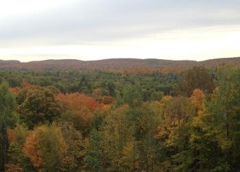 USDA Forest Service