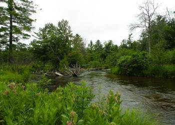 Pine Lake Campground