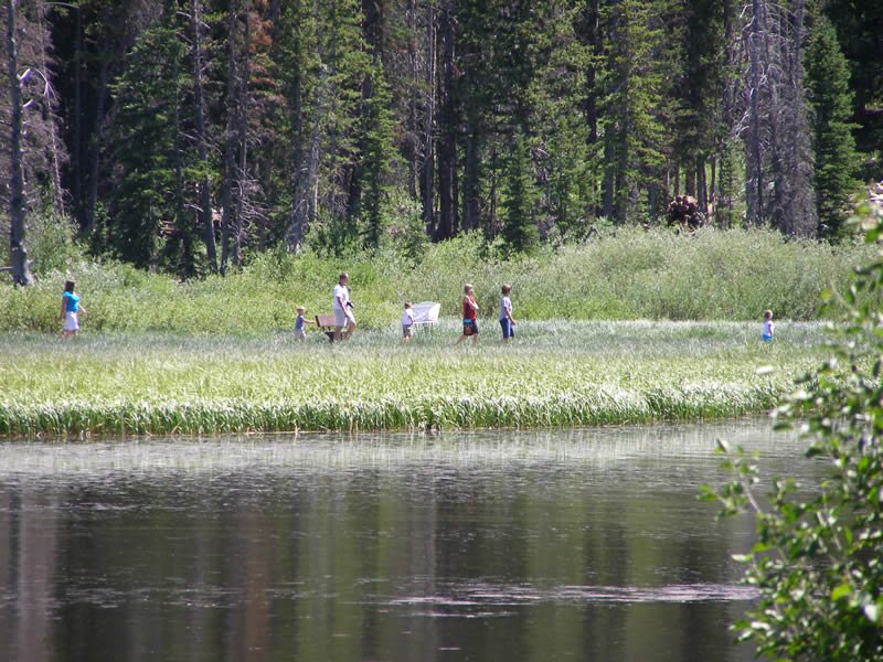 Green Canyon Picnic Area