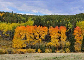 Shell Reservoir Camping Area